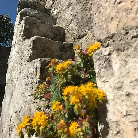 Agritrulli